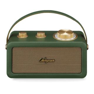 SANGEAN - Rádio Portátil Bluetooth Verde SRA101FG