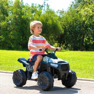 FEBER - Quad Boxer 12V FEN47000