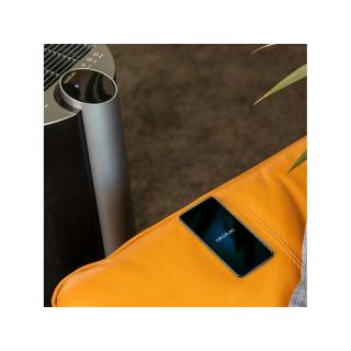 CECOTEC - Desumidificador BigDry 9000 Professional Black Connected 5655