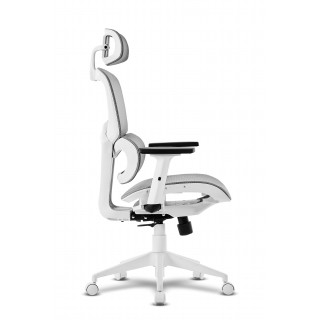 OFFY -  Cadeira de Escritório OFFYLYCAWT