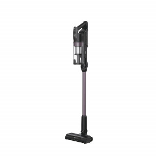 HOOVER - Aspirador Vertical HF1P10H 011