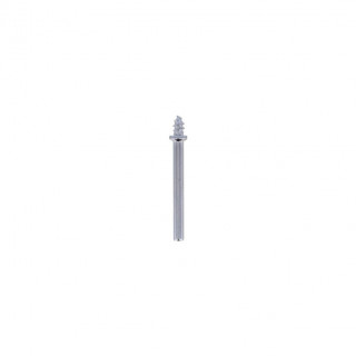 DREMEL - Adaptadores Polimento 3,2mm 26150401JA