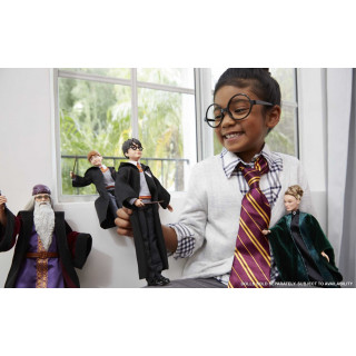 HARRY POTTER -Câm. Segredos Harry Potter FYM50