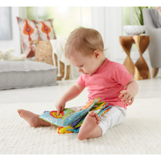 FISHER-PRICE - Livro de Passeio FGJ40