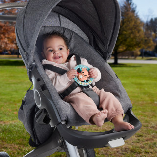 FISHER-PRICE - Rocas Sensimals HRB21