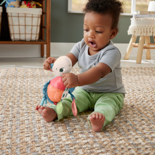 FISHER-PRICE - Tartaruga Saltitante HKD62