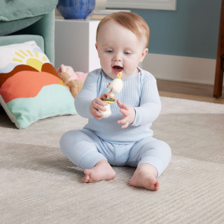 FISHER-PRICE - Rocas Sensimals HRB22