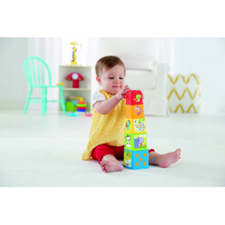 FISHER-PRICE - Blocos Mil Descobertas CDC52