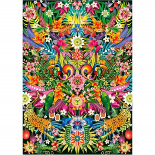 EDUCA - Puzzle 1000 Tucanos 19934