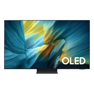 SAMSUNG - OLED Smart TV TQ55S95FATXXC