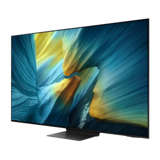 SAMSUNG - OLED Smart TV TQ55S95FATXXC