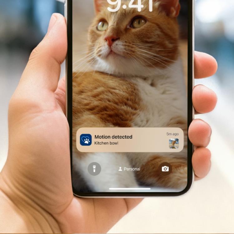 PHILIPS - Alimentador Automático PAW5320/02